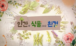 인간과 식물 그리고 환경