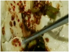 정성으로 빚은 강릉의 맛